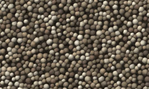 A dense bed of small rounded pea gravel in mixed tan, brown, grey and cream.